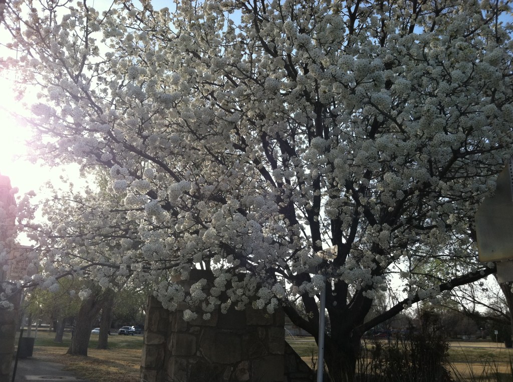 photo-4
