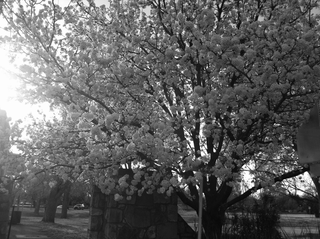 Watch out Ansel Adams