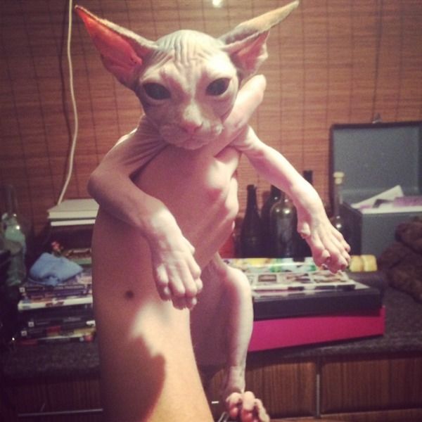 It's part alien.