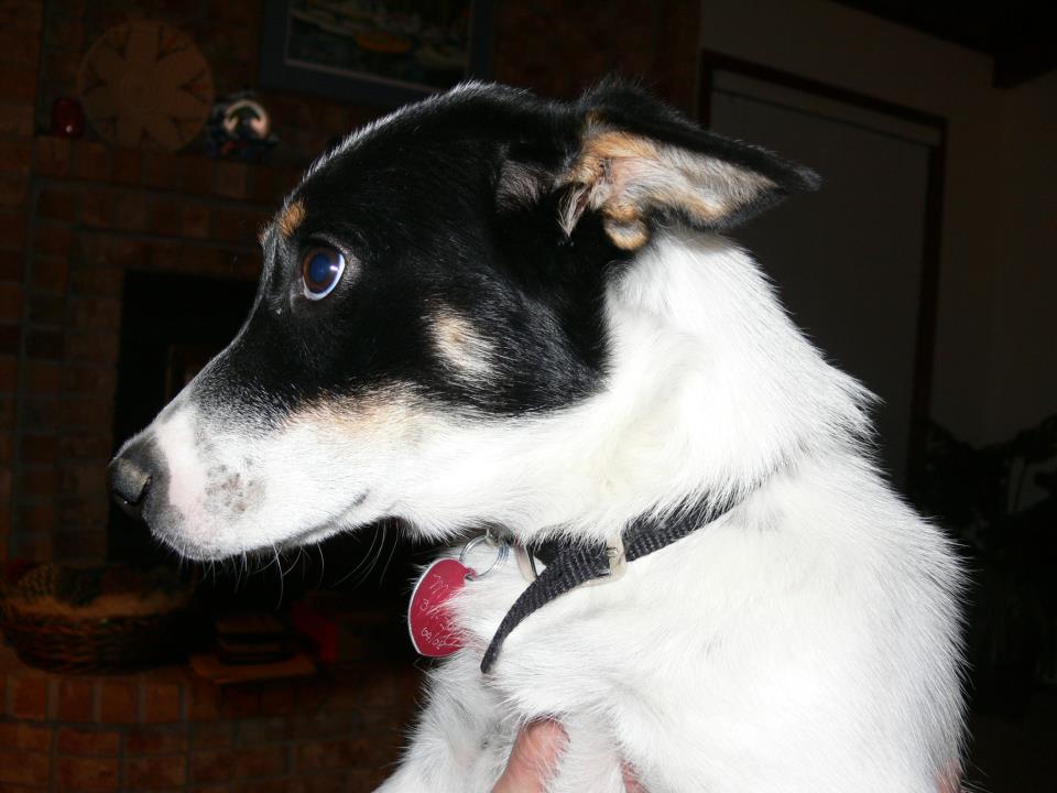 rescued from death