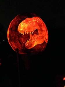 IMG_6017