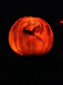IMG_6043