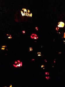 IMG_6084