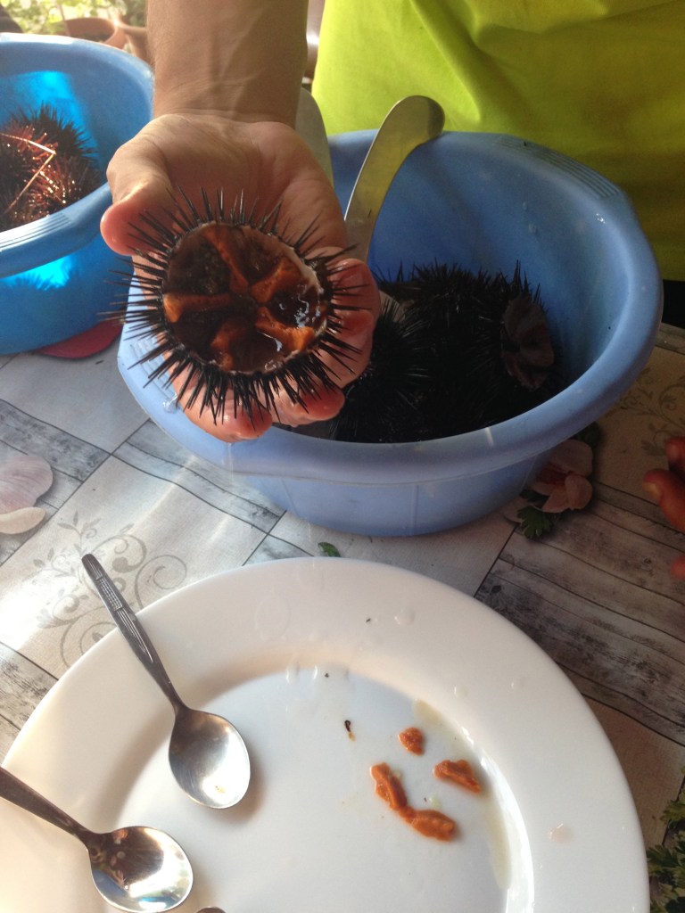 Sea urchin insides