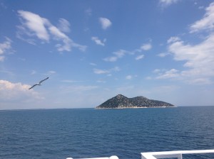 IMG_7946
