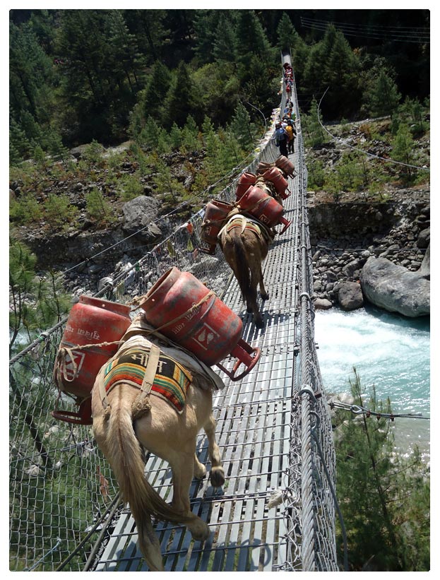 The Donkey Bridge