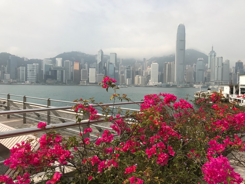 Day 2-3: Hong Kong&nbsp;Heroes