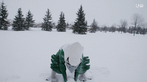 eagle in snow.gif